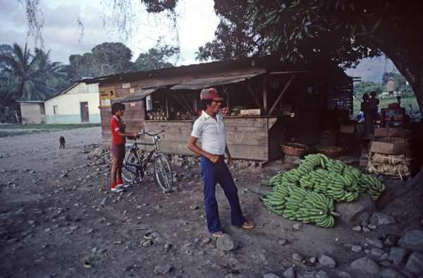 Banana Stall